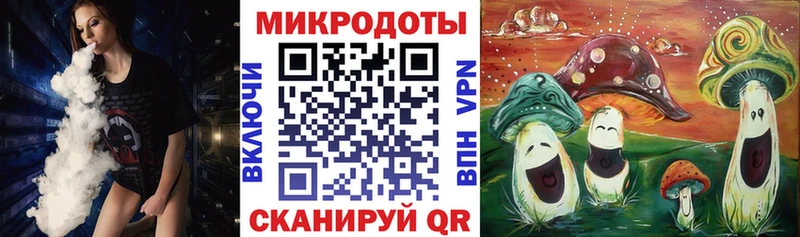 Галлюциногенные грибы Psilocybe  Вытегра 